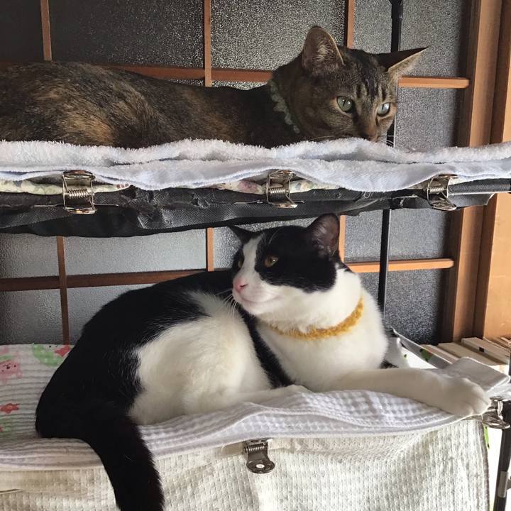 Cd384b5b 29fc 47ec 87b5 753719c618af 1645667748462