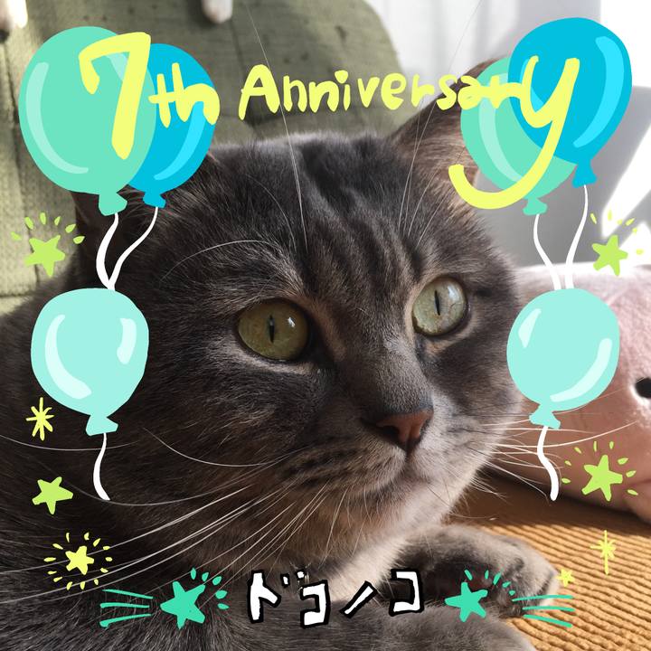 Cd3860f9 da64 42f3 801e d236e5877a6e 1685968121068