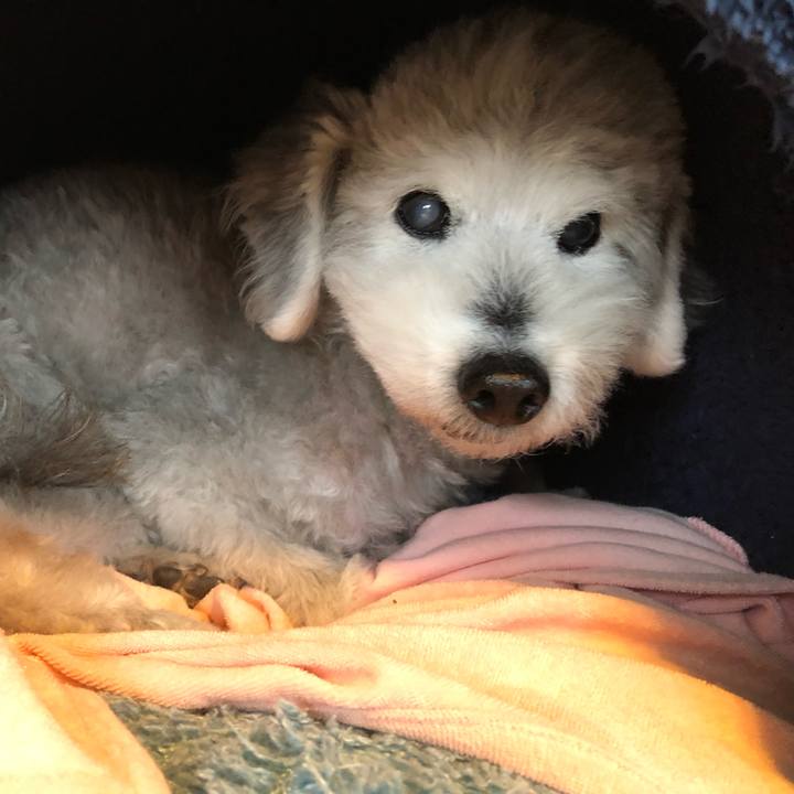 Cd387b14 5ba0 4087 8e47 013d31c9bb6c 1652053972822