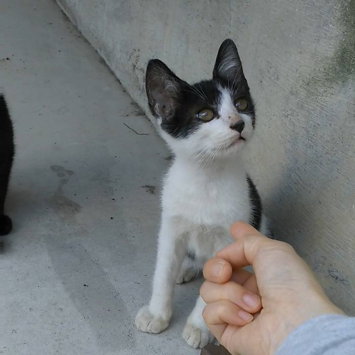 Cd3885d3 be0f 400f ab85 d12943506fb1 1530415011937