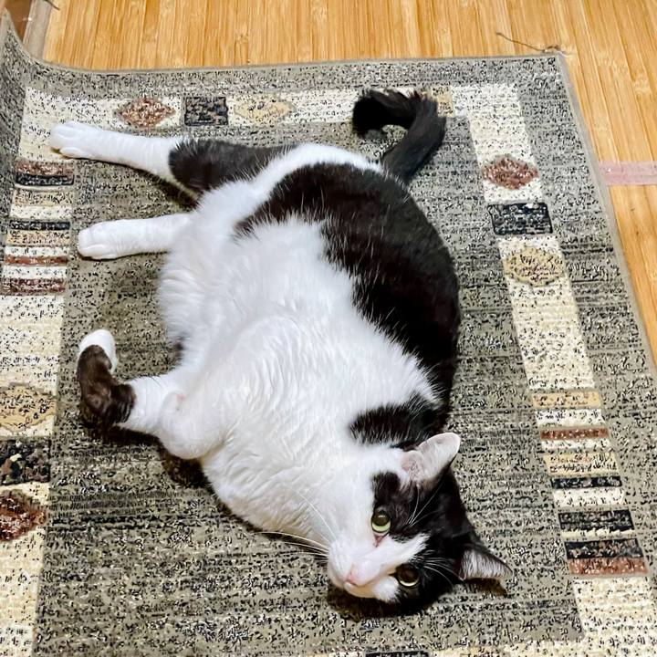 Cd389600 4f82 4b6b 861e 935fe2a3845e 1621388353276