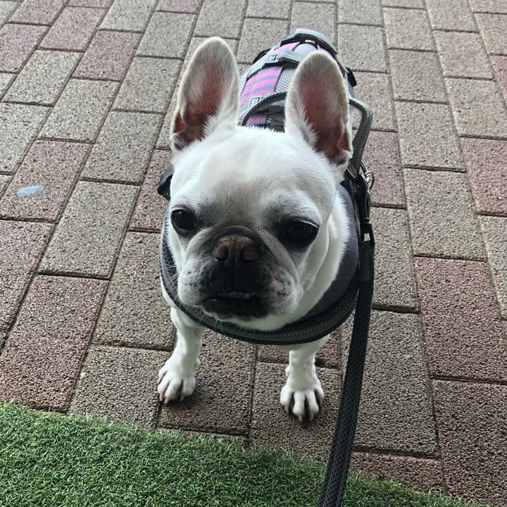 Cd38ae2c d910 41d0 81aa a34dab7968ee 1647832603240