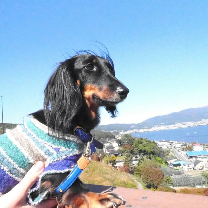 Cd38b1b1 9271 4fd6 b128 60deaa29db78 1540086587846