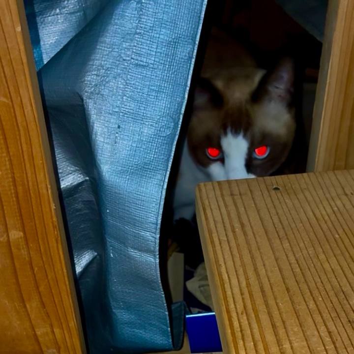 Cd39038f 85fa 4b10 a2df 3e8d027f9d82 1762511464549