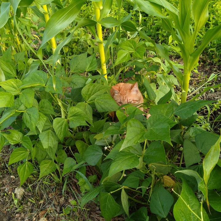 Cd390647 5396 4cd2 9338 e0f237811e3c 1690064254032