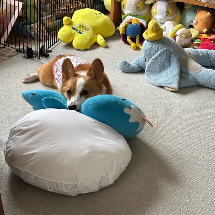 Cd39844f 1569 488e 83c4 5b113f0b0652 1761965512570