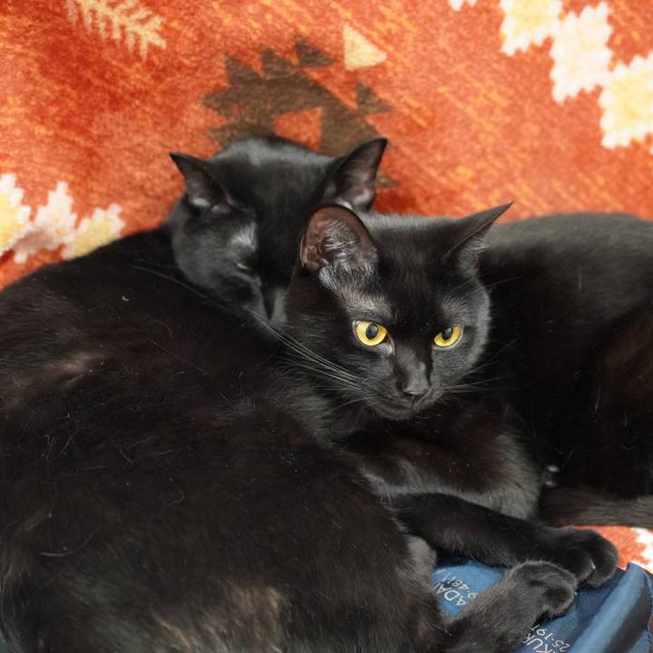 Cd39ccf4 cf38 4c2b b953 9ee7940bf8c5 1582090409092