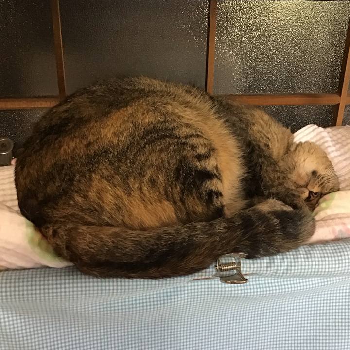 Cd3a0cf5 6cc6 4fd3 bd49 bb1c44d9be81 1757230041987