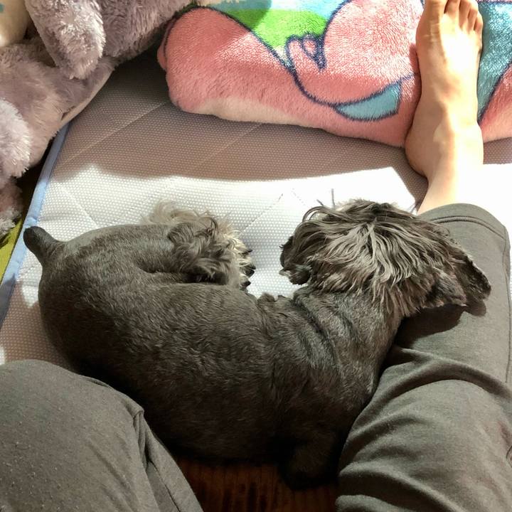 Cd3a3220 53b3 486b 87fb 5f161705f14a 1653093195230