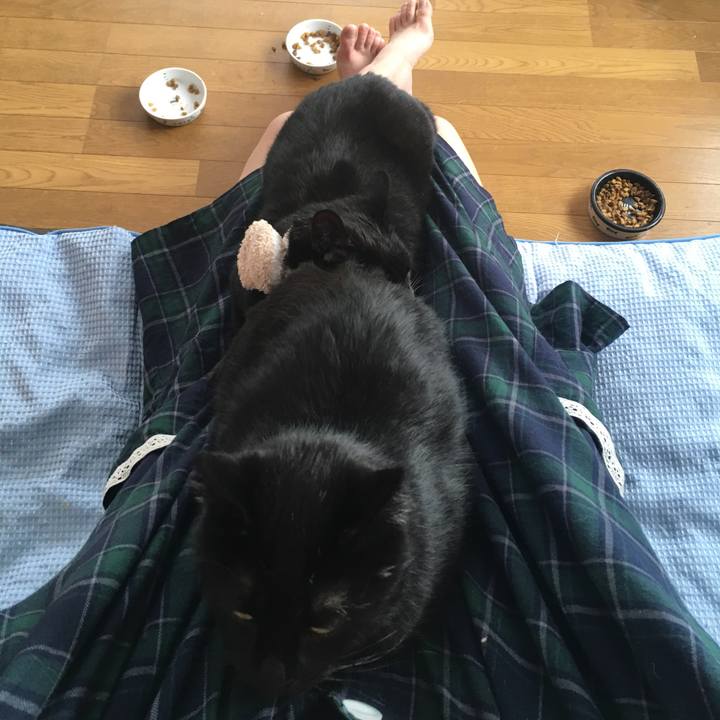 Cd3a5ee5 8301 4f1e b63b ce1f5378a6c9 1544920302033