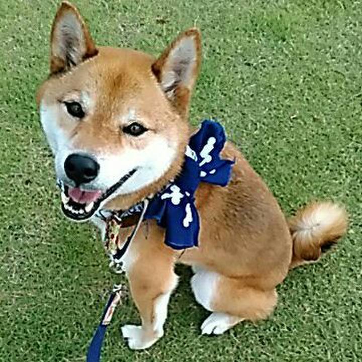 Cd3a6d67 2a72 49c3 9e9b 08458ca126ef 1561710379205