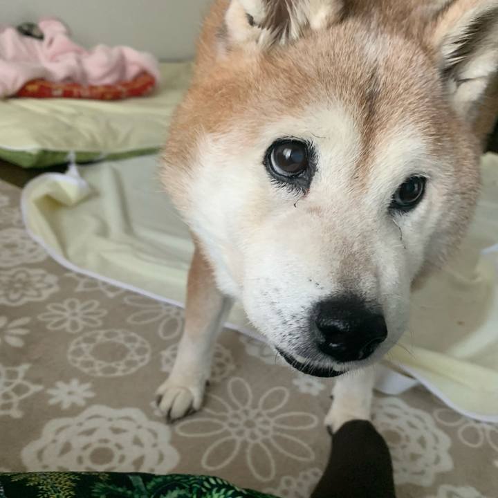 Cd3a95af d3ff 4cd8 b575 15c2b6731083 1667002073274