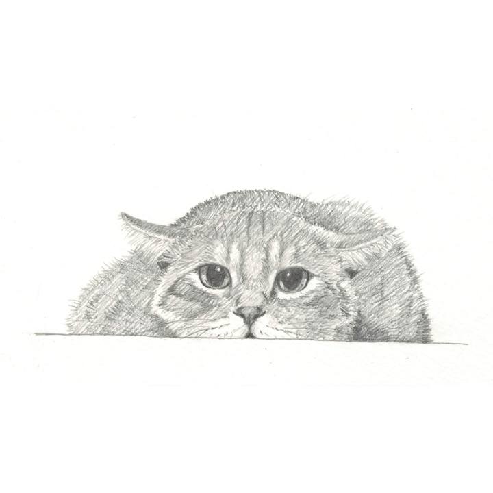 Cd3acd3d f990 4868 b723 22477392ef5a 1541594843332