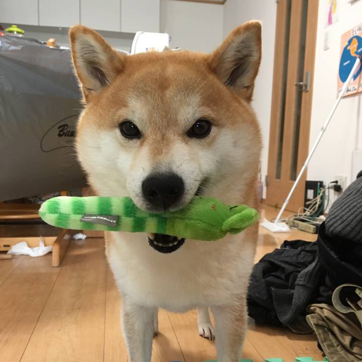 Cd3ae065 0660 43b2 a7a4 c6e9c284f36e 1552615635355