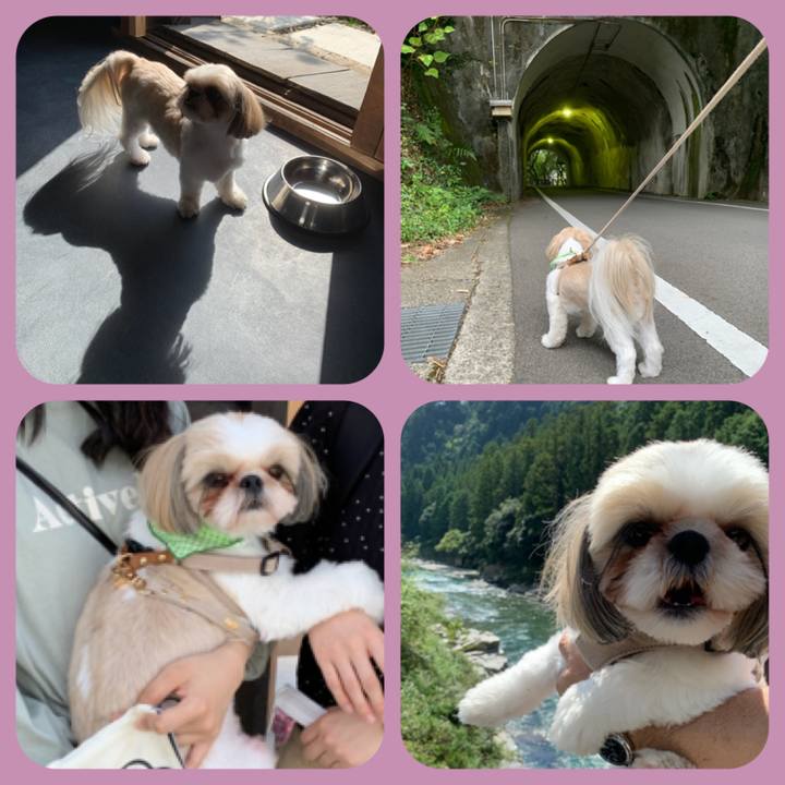 Cd3af07e 1987 463b 9aa3 94bf9f139f2d 1600753936318