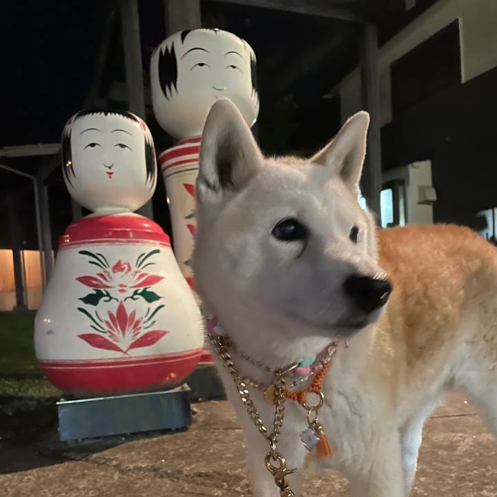 Cd3b2d84 8716 4480 90de a5aaf2999f1e 1683031159530