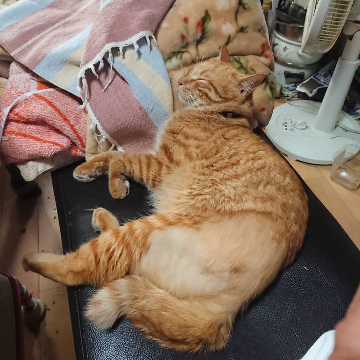 Cd3b32b6 98d7 47f4 b026 0bfae28fcd74 1657267564267