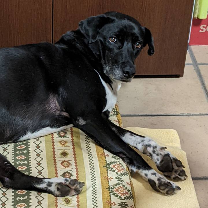 Cd3b7095 3568 45d7 85ef 5fa859348007 1664016548078