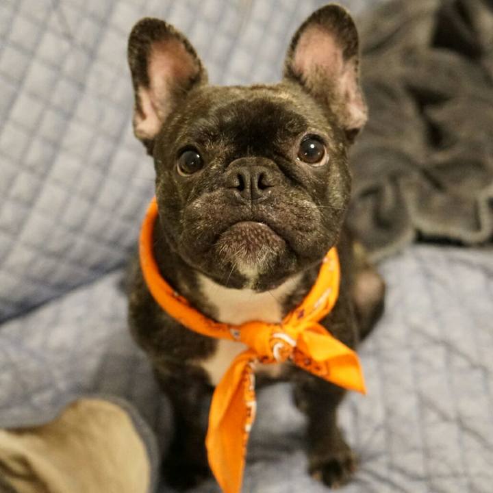 Cd3b7671 21a2 4e1f bf56 15398f554196 1536065408256