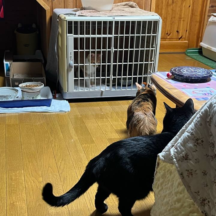 Cd3b85e9 e7eb 46e8 8f5b 0de396a9c2f5 1664228065346