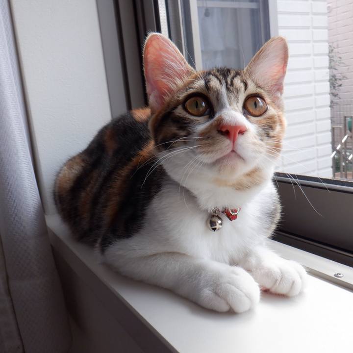 Cd3bf6a6 cd24 4b55 9355 8f88ed27e30c 1632279122311