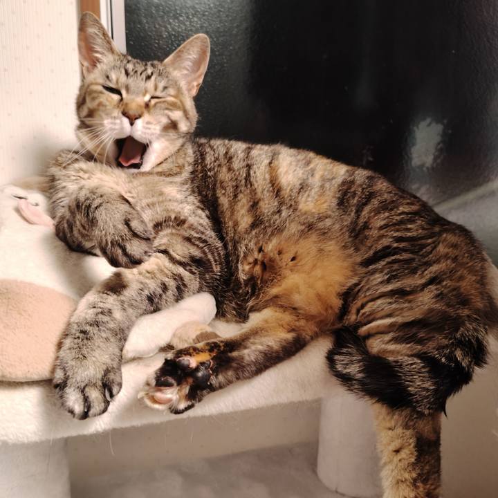 Cd3c06be c31a 4ee5 9e14 dd20dfe0a5d7 1772796933746