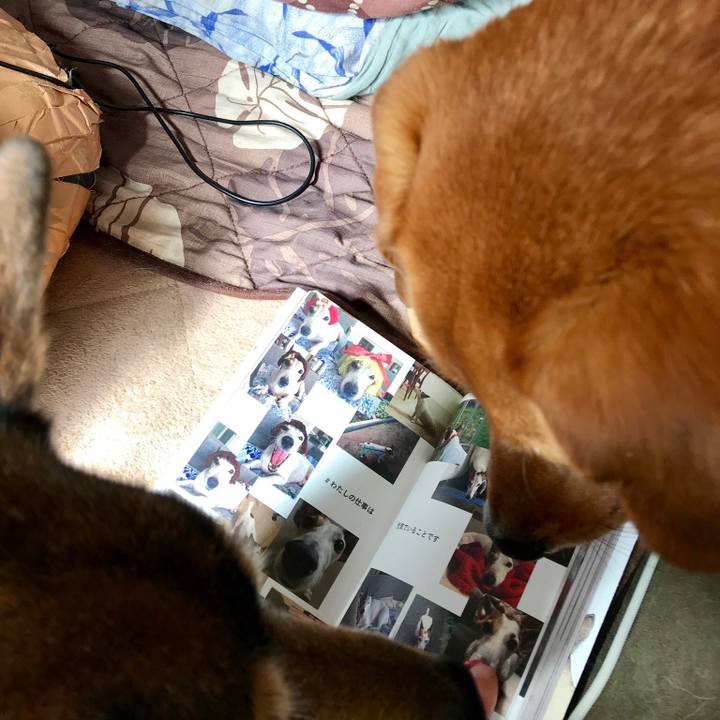 Cd3c0f7c b78e 4740 b0cf c14a66b0efa1 1521827939096