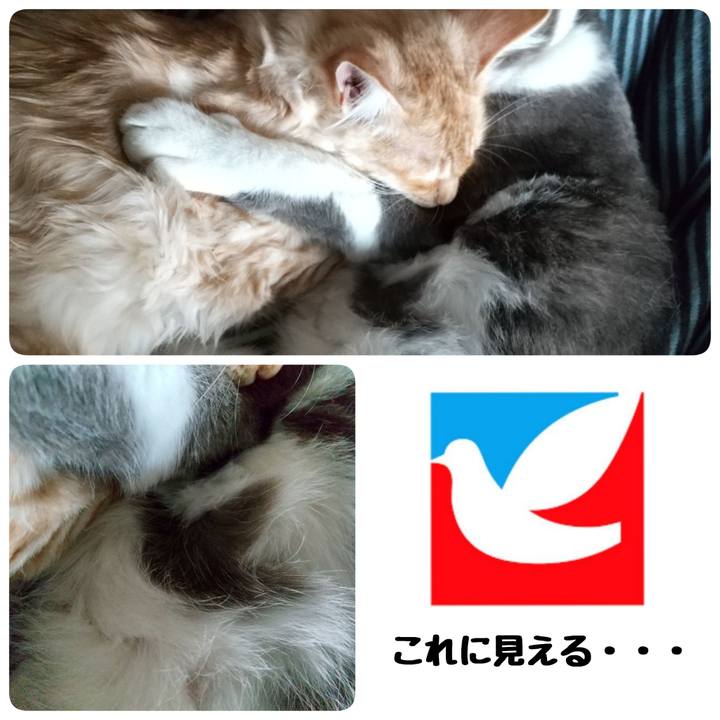 Cd3c5bc0 8dc8 4c53 9581 afdd769fb384 1616289799852