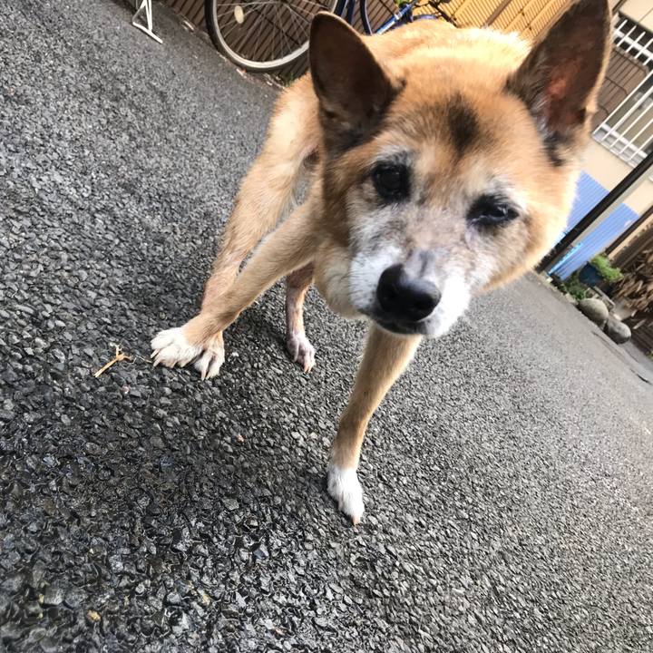 Cd3c72df b1c2 44b9 acff 1d459ae00dfe 1564614033343