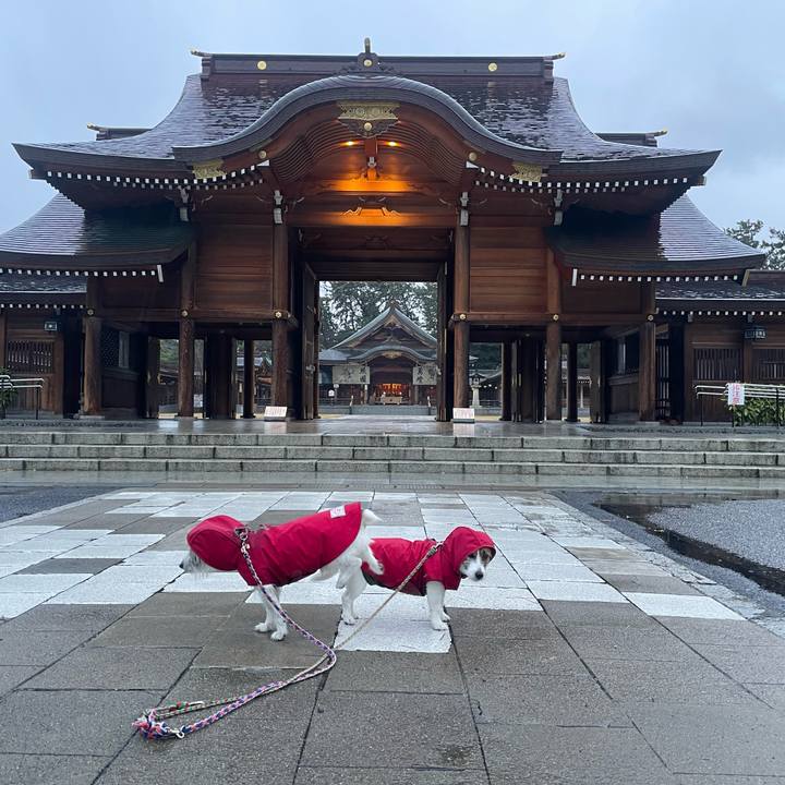 Cd3c9765 835a 4adf a21e 89d9483950d6 1766705575041