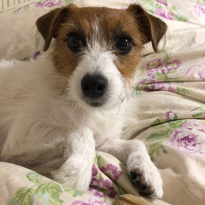 Cd3cebff 2ff4 456d 9e3b 5544605acf0e 1541686128351