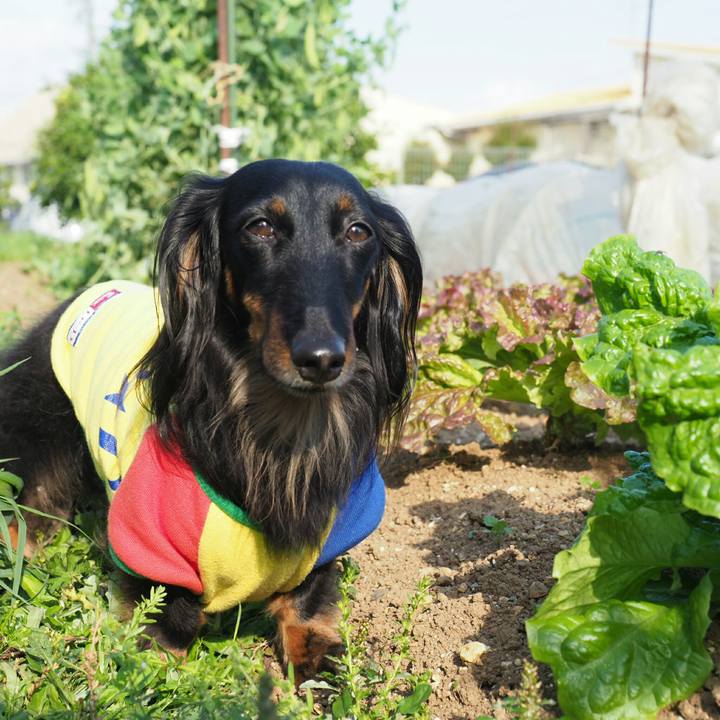 Cd3cee00 e979 4586 a295 43baa81a9c90 1557281426095