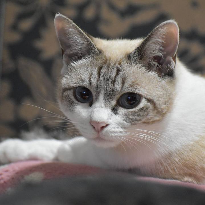 Cd3cf122 8e1c 4136 ab2b c36ed5e87793 1569754898757