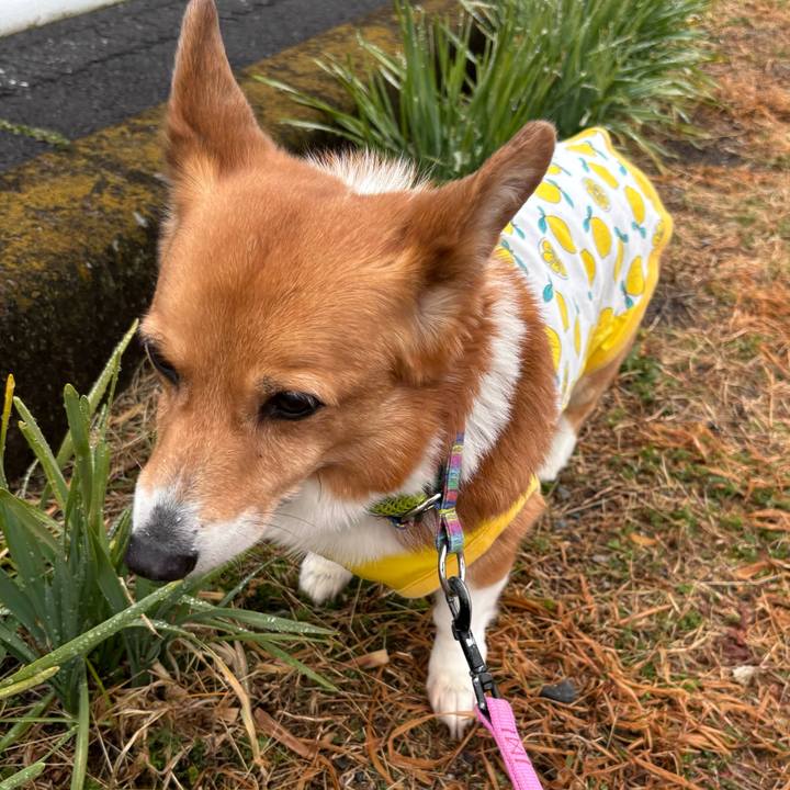 Cd3d0006 8600 4040 b94c 5dfaab29627d 1741153677683