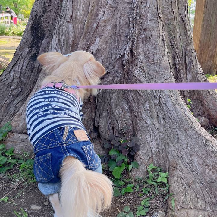 Cd3d410b 9a13 42ec a6a7 97ccdc213a47 1651660068119