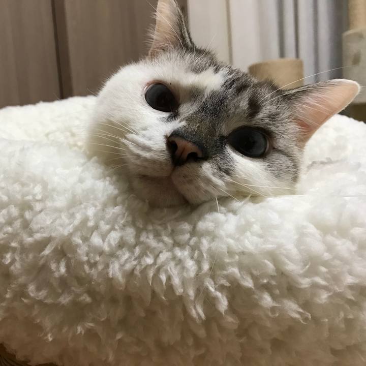 Cd3d7f5f b6c0 42e7 97ba bdc0fb36507b 1540251692535