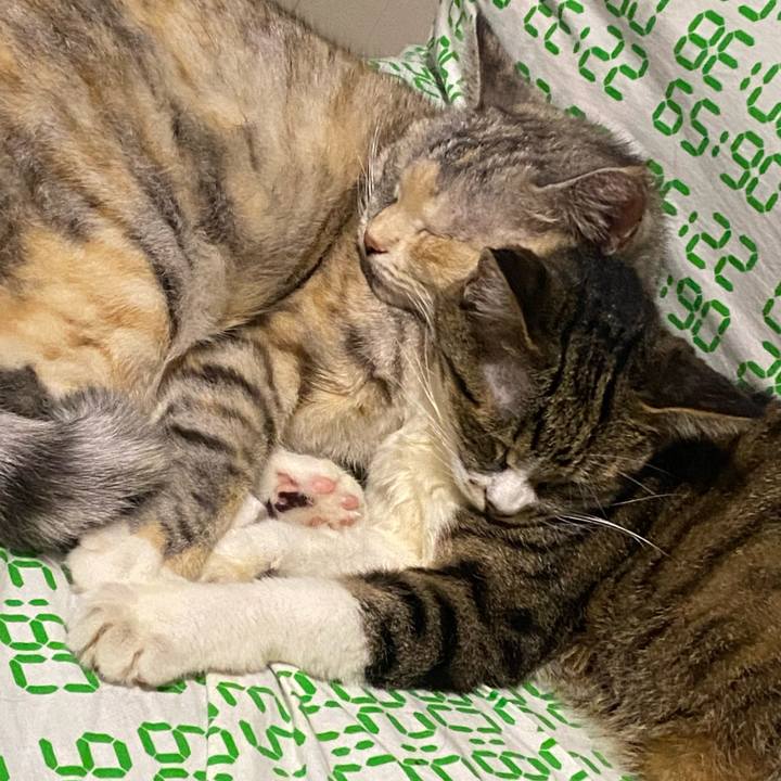 Cd3dacc8 a86e 487c b1ef 4d2031614215 1662119976678