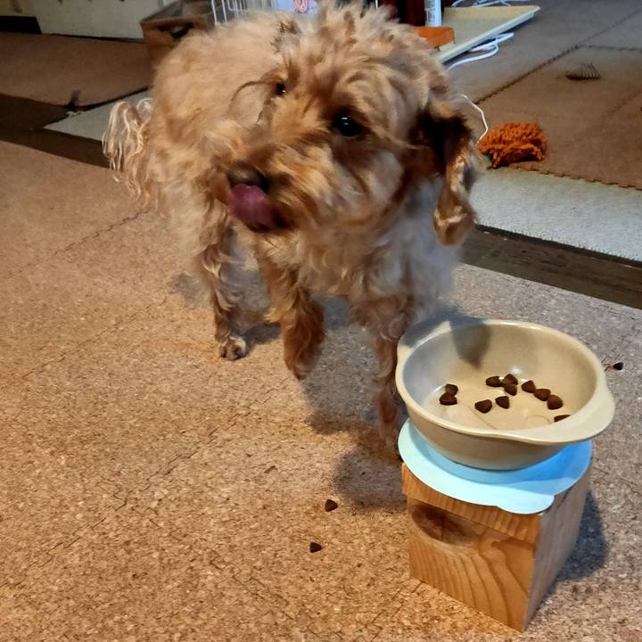 Cd3dc0d3 105a 487e 98fc 1b1e5edacb49 1580077599421