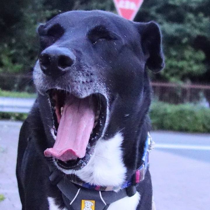 Cd3ded44 9575 4807 bb5a f8599919a4a5 1657537765791