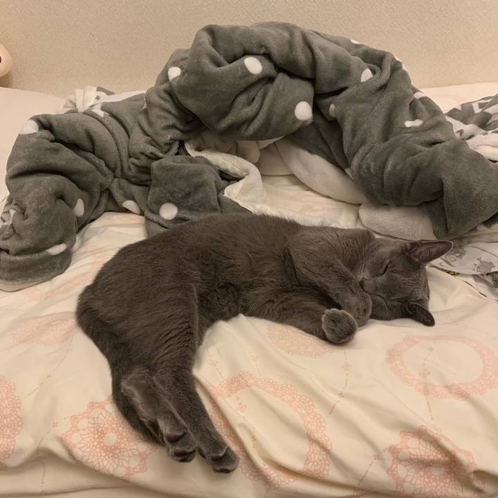 Cd3dfe17 739c 449b bf50 6d6e4f1b6c67 1662207913541