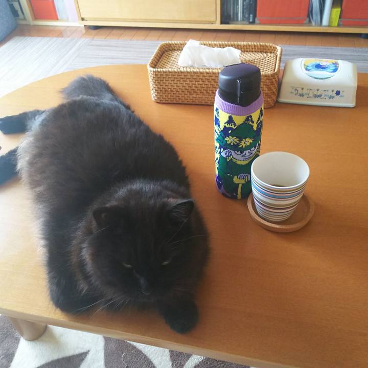 Cd3e0b33 0e50 4d5b 918b 2e2fe1faa04c 1557561294829