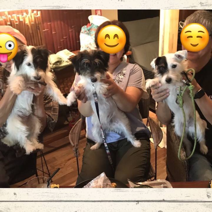 Cd3e1b1b 799d 4dc5 a5f9 f96bda0ca4c3 1522106545915