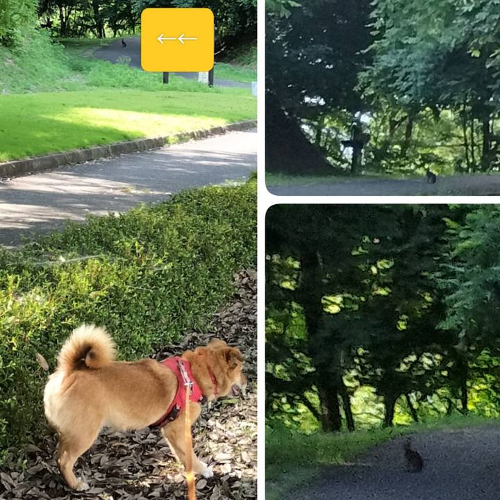 Cd3e3ce9 acc9 468b 8e7d f1310e1a0c80 1751103314382