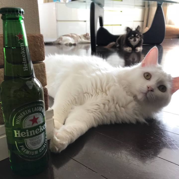 Cd3e85d7 7ce3 40a8 87a5 ba6efd8ff246 1527942390273