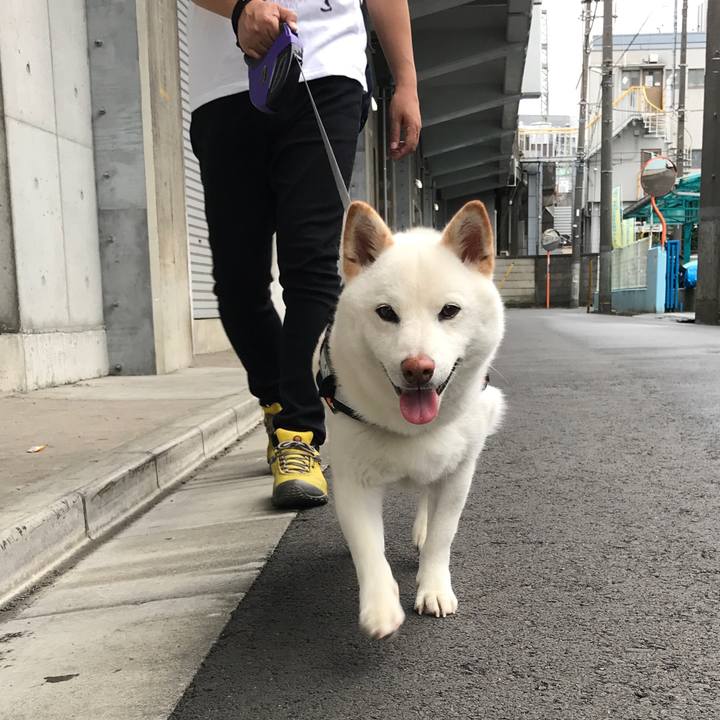 Cd3e8c71 57da 4eff 9c4d 3cf98c31f33f 1528601937145