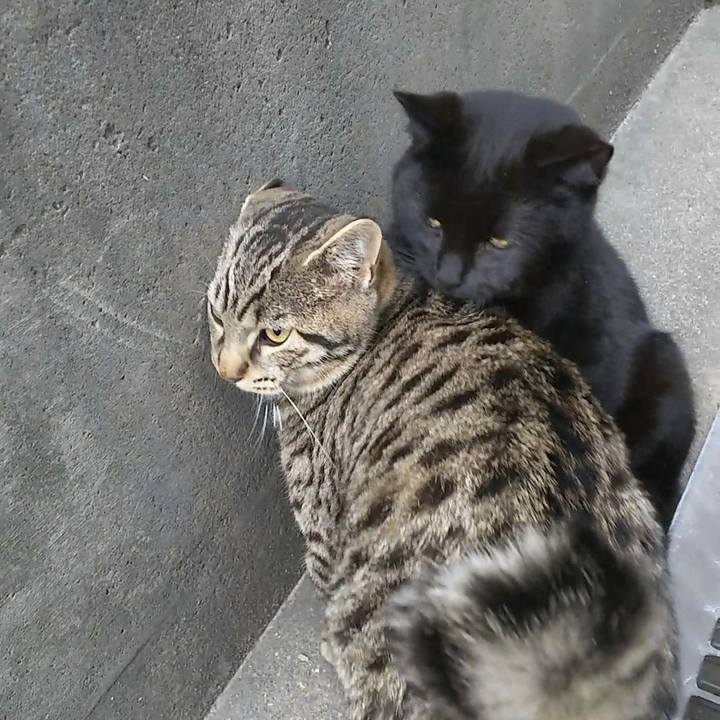 Cd3eba58 b797 42c2 9706 1631cbdf7db3 1552466374932