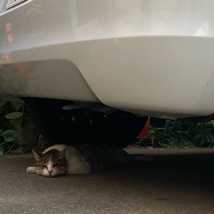 Cd3edb3c d27f 45ee 968d cf90fcdd9996 1531945535462