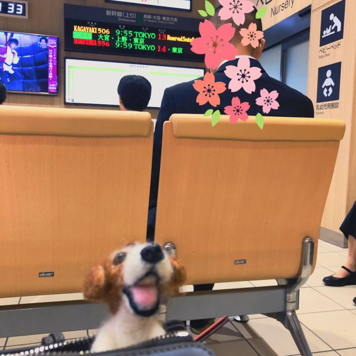 Cd3edc19 a29e 4665 b17a 962889db0ff3 1568248654334