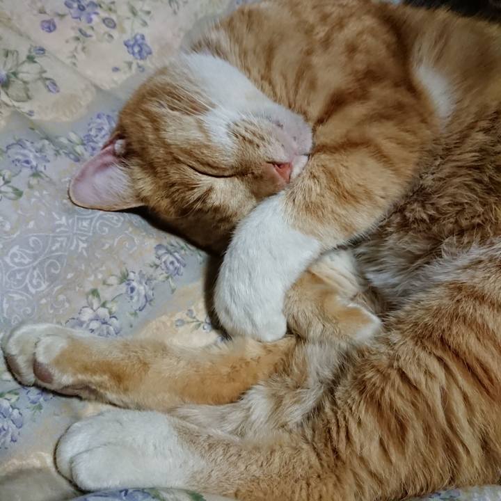 Cd3ef4ba 5541 482a afc7 a2795ad9f9cc 1576844263582