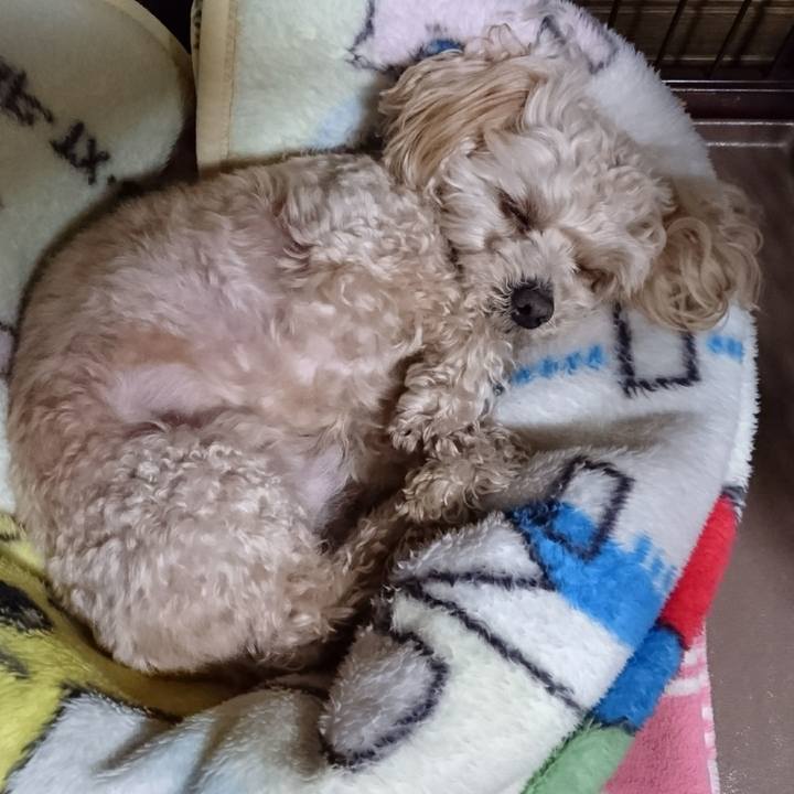 Cd3ef5fb 9f78 4335 9f73 50264fb0c381 1522586397047